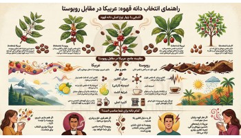 راهنمای خرید قهوه 1405 (راهنمای کامل انتخاب بهترین قهوه)