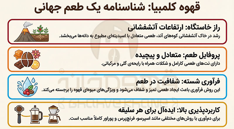 خرید قهوه کلمبیا، طعم اصیل و متعادل از قلب آمریکای جنوبی