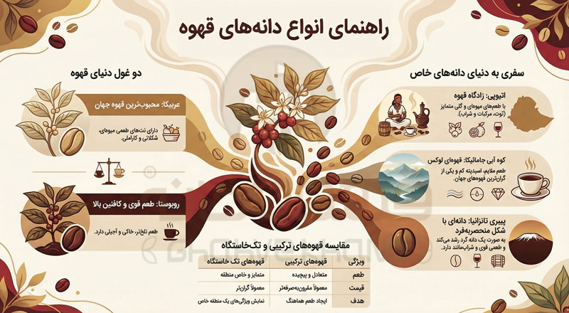 انواع دانه قهوه (از عربیکا و روبوستا تا دانه‌های خاص)