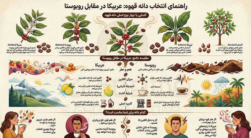 راهنمای خرید قهوه 1405 "راهنمای کامل انتخاب بهترین قهوه"