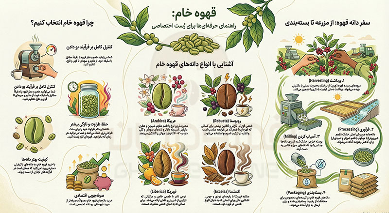 خرید قهوه خام 1405 انتخاب حرفه‌ای‌ها برای رُست اختصاصی